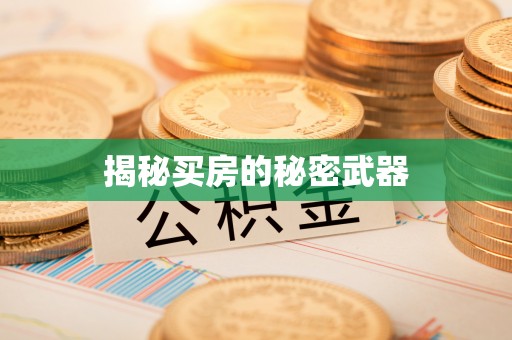 七里河揭秘买房的秘密武器