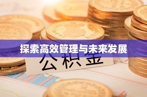 七里河探索高效管理与未来发展